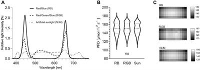 Investigation of LED Light Qualities for Peppermint (Mentha x Piperita L.) Cultivation Focusing on Plant Quality and Consumer Safety Aspects